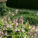ゲストハウス Matt's Place