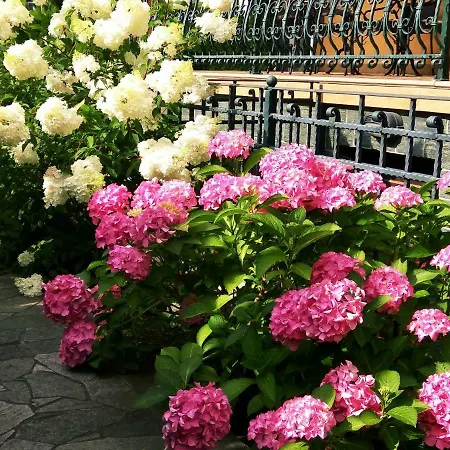 Matt's Place Konukevi