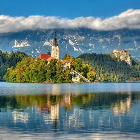 Matt's Place Bled