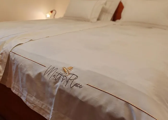 招待所 Matt's Place