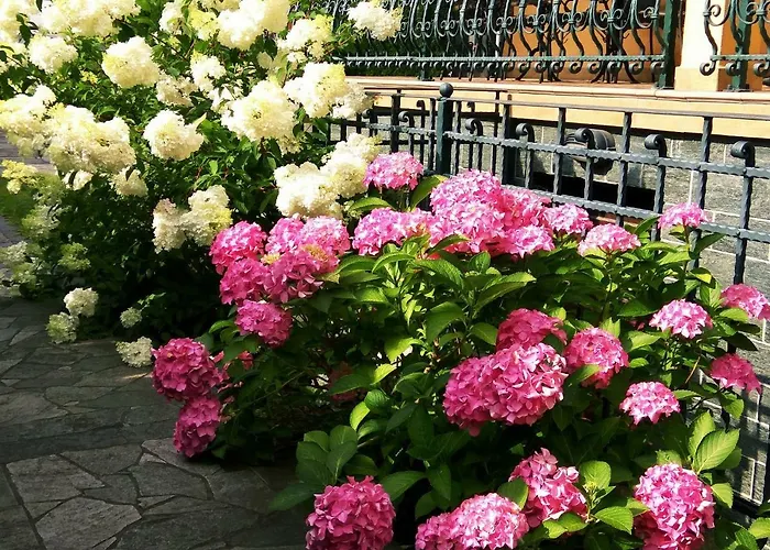 Matt's Place 招待所