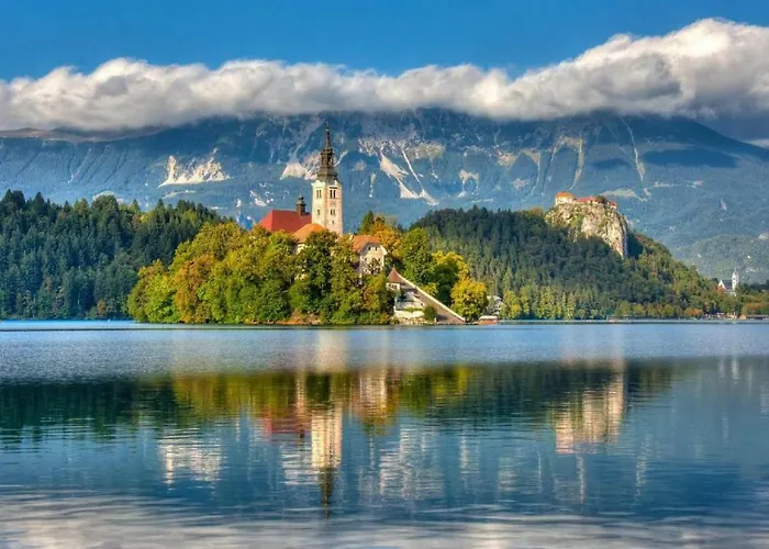 Matt's Place 布莱德